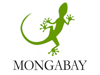 Mongabay Reporting Project