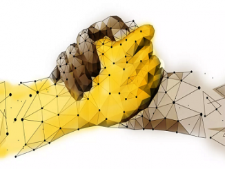 Storify Africa Fellowship