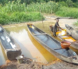 Depleting fish stocks in rural Bayelsa