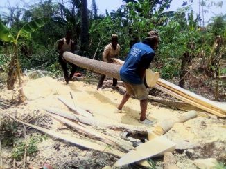 deforestation in Ekiti communities