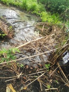 How indiscriminate waste disposal pollutes water in Ogun community